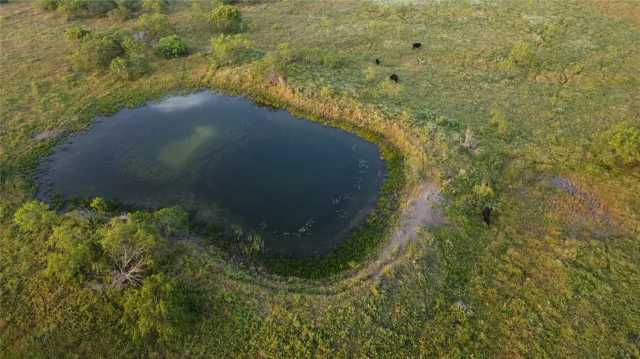 4648 Fm 147, Groesbeck, TX 76673 - Image #3