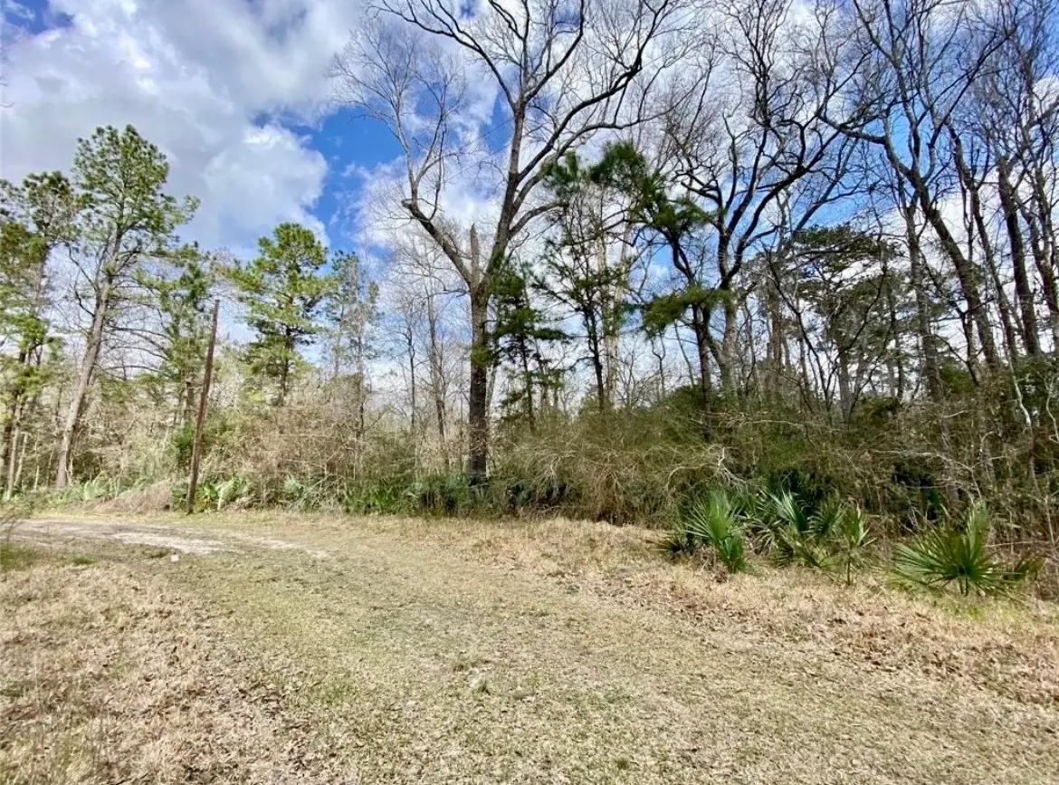 0 Puppy Lane, Crosby, TX 77532 - Image #1