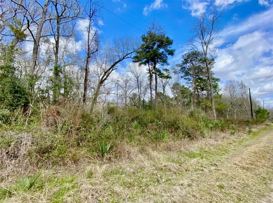 0 Puppy Lane, Crosby, TX 77532 - Image #2