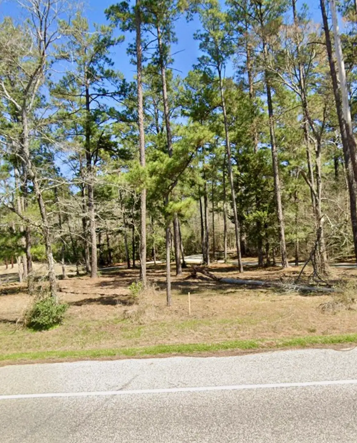 0 Grissom Road, Richards, TX 77873 - #1