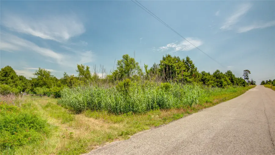 7443 County Road 302, Plantersville, TX 77363 - #2