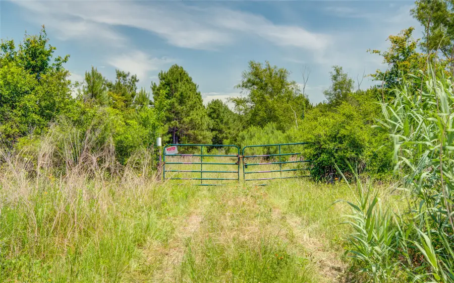 7443 County Road 302, Plantersville, TX 77363 - #3