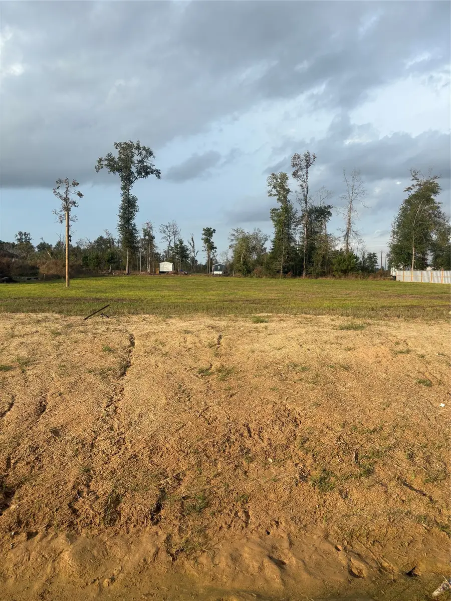 1043 Gazing Pine Street, Huffman, TX 77336 - #2