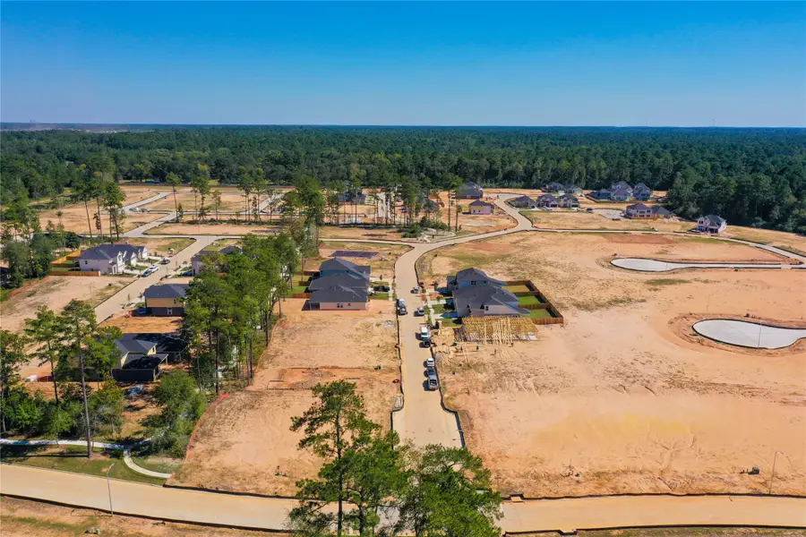 16571 Branchers Drive, Magnolia, TX 77354 - #3