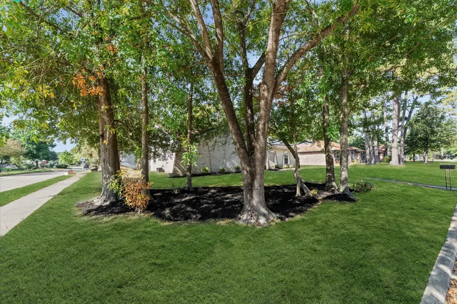 25503 Foxbriar Lane, Spring, TX 77373 - Image #3