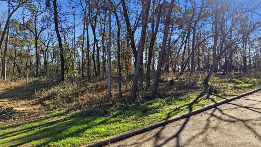 Lot 83 Lake Oaks Circle, Coldspring, TX 77331 - #3