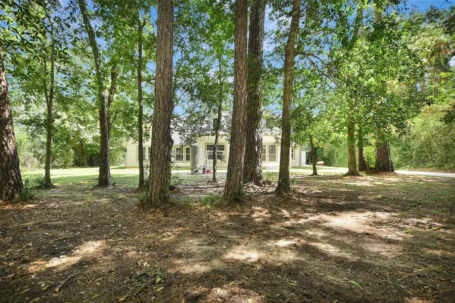 25703 Penguin Street, Magnolia, TX 77355 - #2