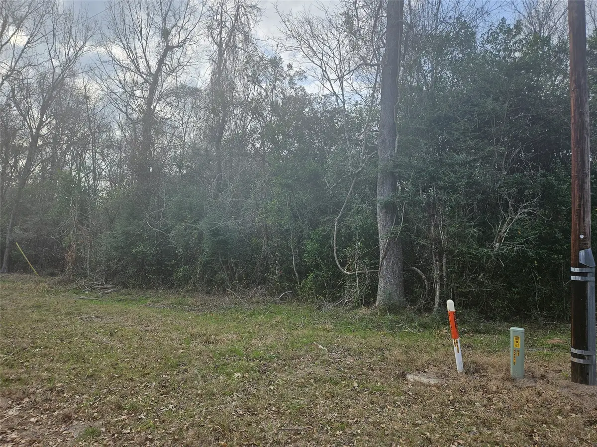 0 Winding Creek Drive, Shepherd, TX 77371 - #1