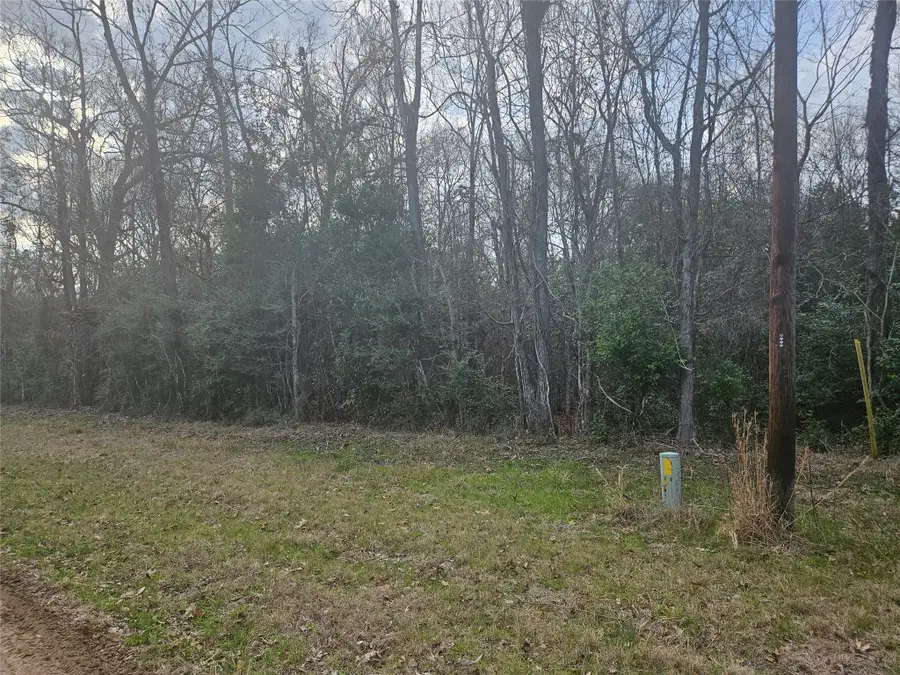 0 Winding Creek Drive, Shepherd, TX 77371 - #3