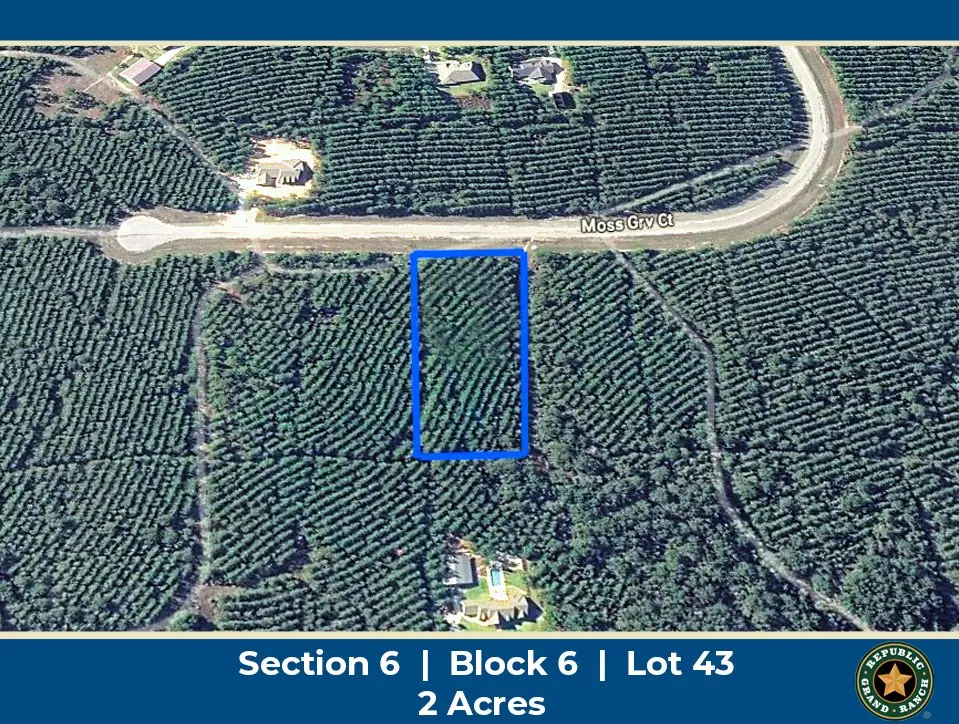 11855 Moss Grove Court, Willis, TX 77378 - #1