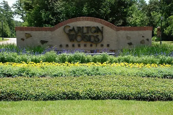 7 Primm Valley Ct, The Woodlands, TX 77389