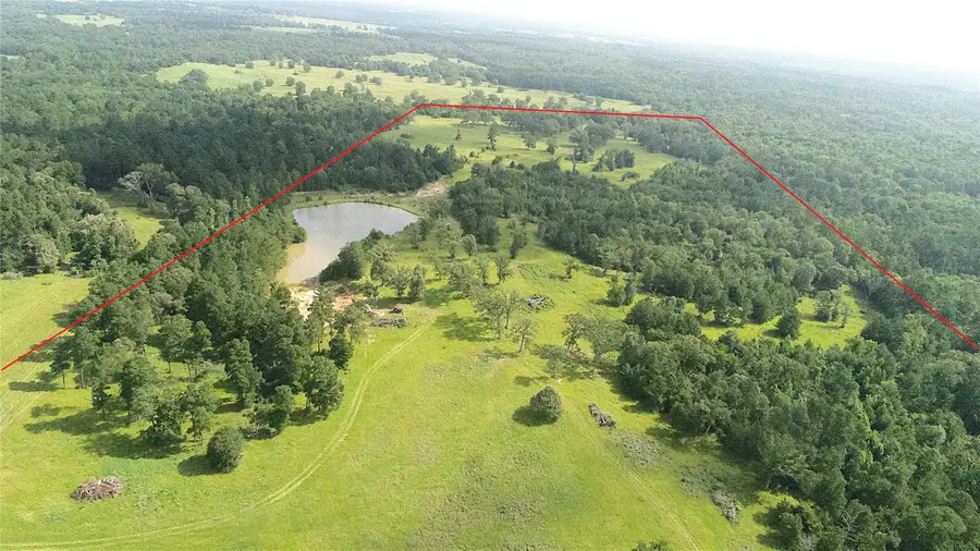 11833 Fm 1119, Leona, TX 75850 - Image #3