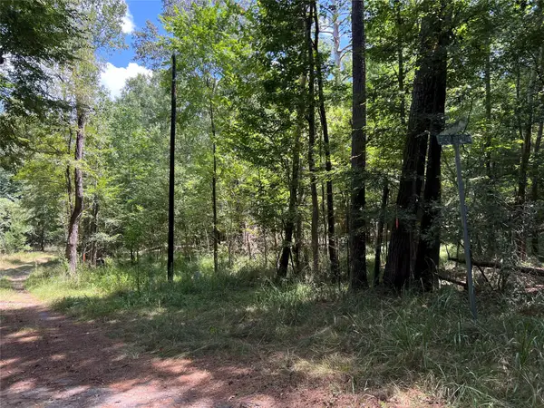 415 Rio Vista Drive, Livingston, TX 77352