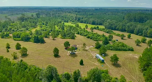 81363 George Sanner Rd, Village Mills, TX 77663