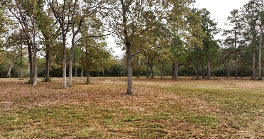 5.3 AC tbd Spring Branch Rd, Montgomery, TX 77316 - #2