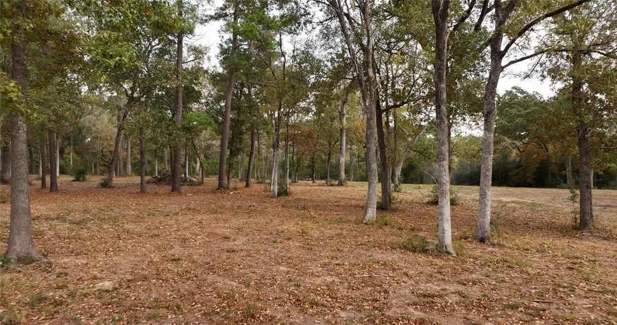 5.3 AC tbd Spring Branch Rd, Montgomery, TX 77316 - #3
