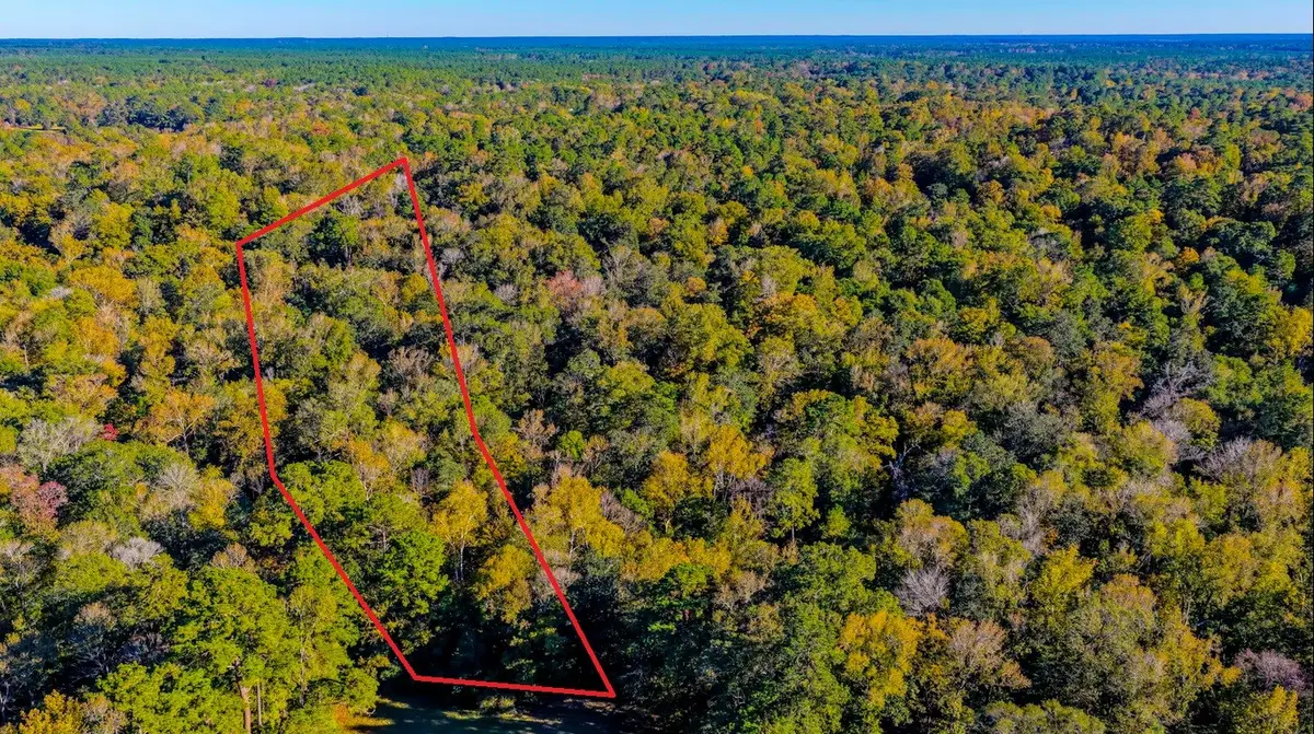 TBD2 Rolling Ridge Road, Goodrich, TX 77335 - Image #1