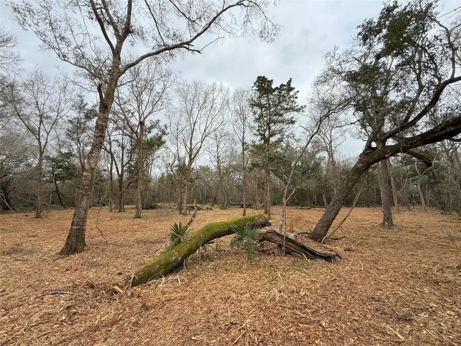 0 Cr 289, Sweeny, TX 77480 - #3