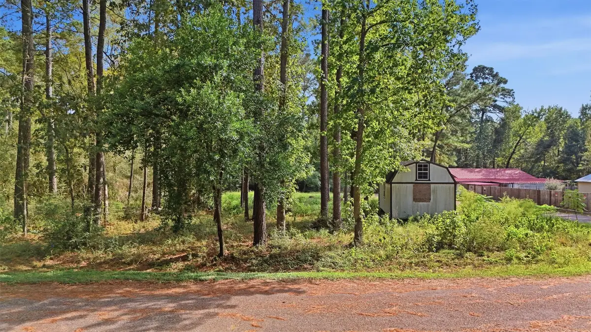 159 Gazelle Loop, Onalaska, TX 77360 - #1