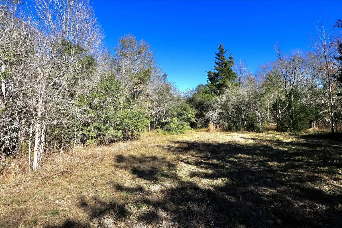 5.003 Acres Winding Meadow Drive, Bedias, TX 77831 - #1