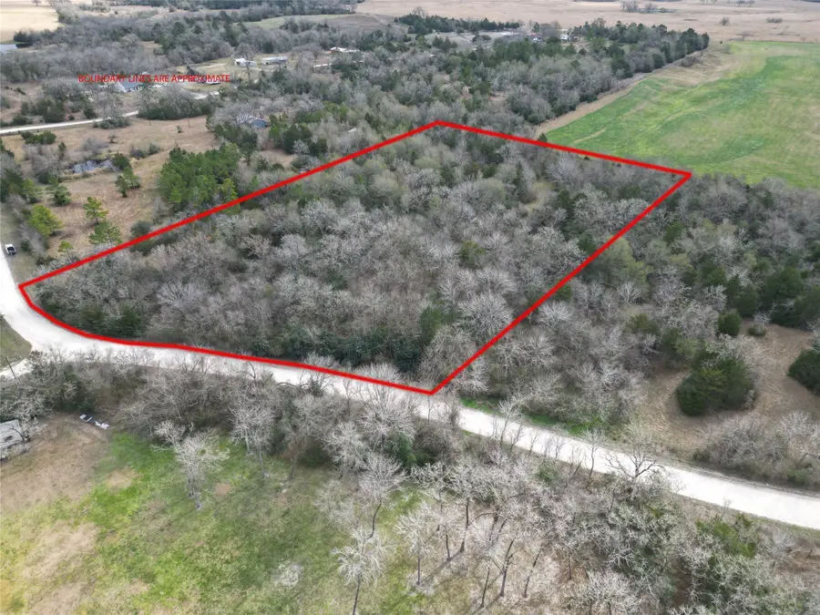 5.003 Acres Winding Meadow Drive, Bedias, TX 77831 - #2