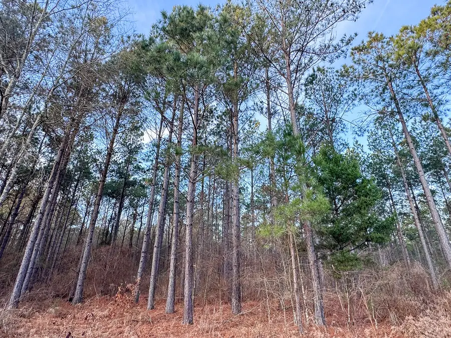 000 County Road 4320, De Kalb, TX 75559 - Image #3