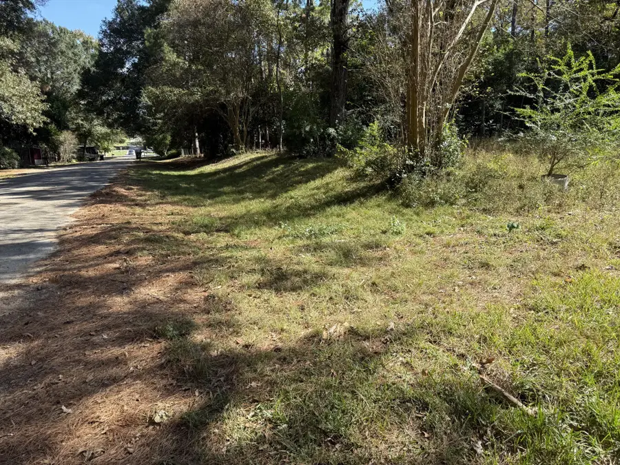 14915 Shingle Oak Drive, Tomball, TX 77377 - Image #2