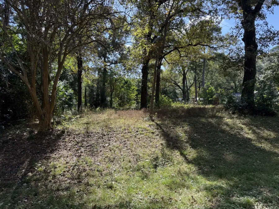 14915 Shingle Oak Drive, Tomball, TX 77377 - Image #3