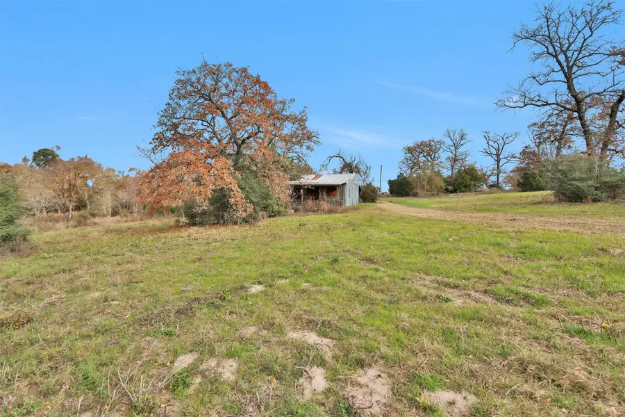 8537 Berger Easement, Anderson, TX 77830 - Image #3