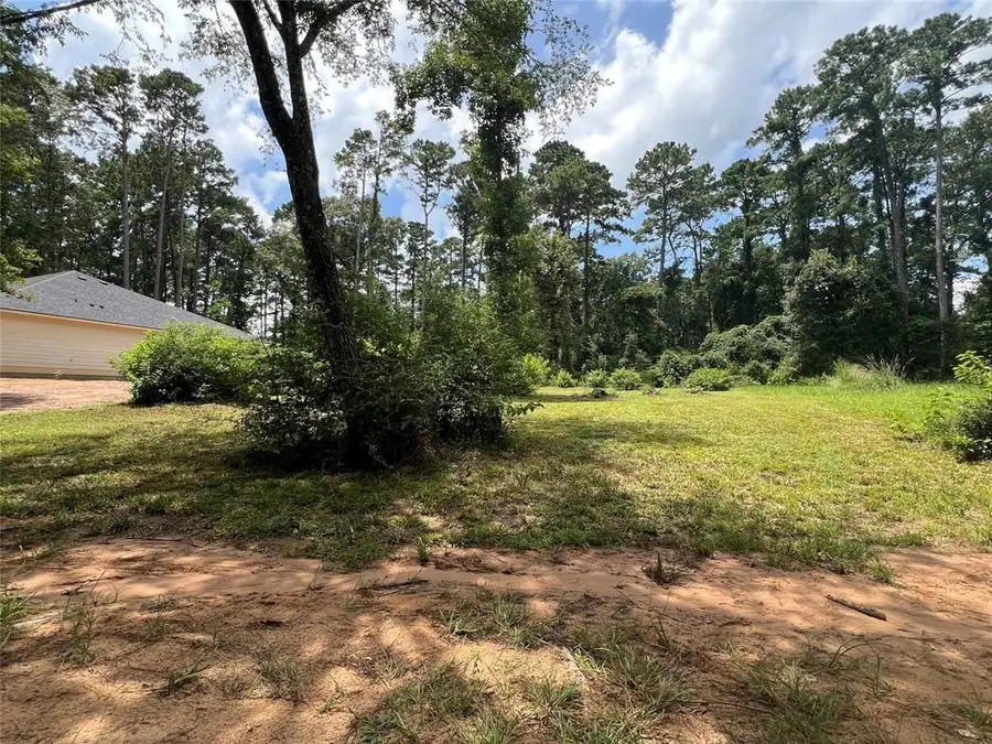 28 Oak Pine Drive, Livingston, TX 77351 - #3
