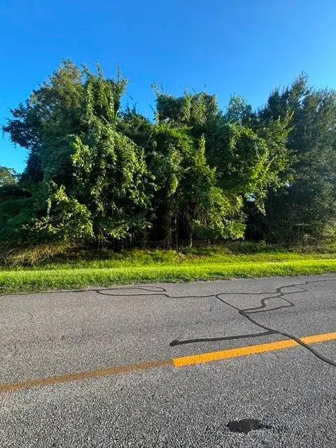 1103 W Point Drive, Rosharon, TX 77583