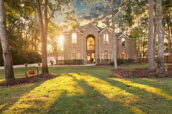12411 Stallion Court, Magnolia, TX 77354