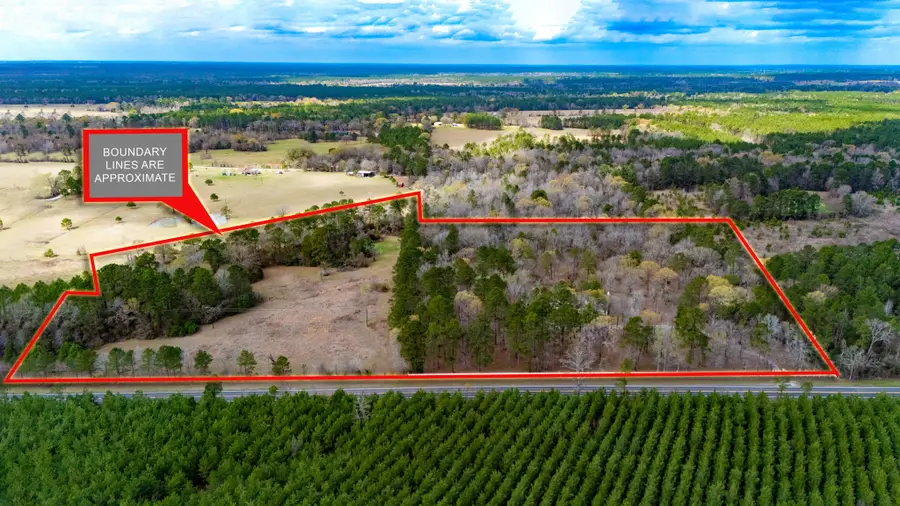 9139 N State Highway 94, Groveton, TX 75845 - #2