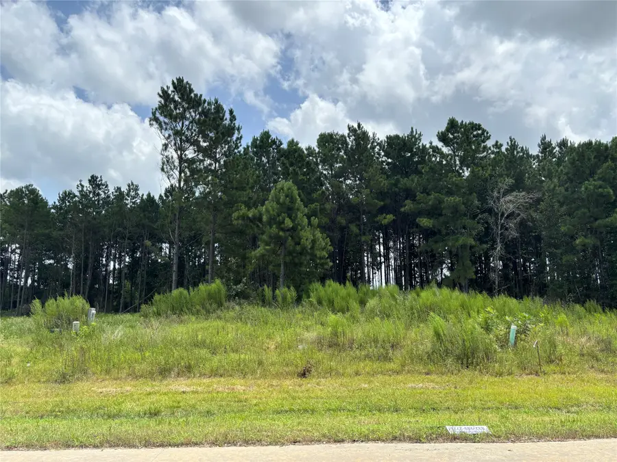 9056 Road 5503, Cleveland, TX 77327 - #2
