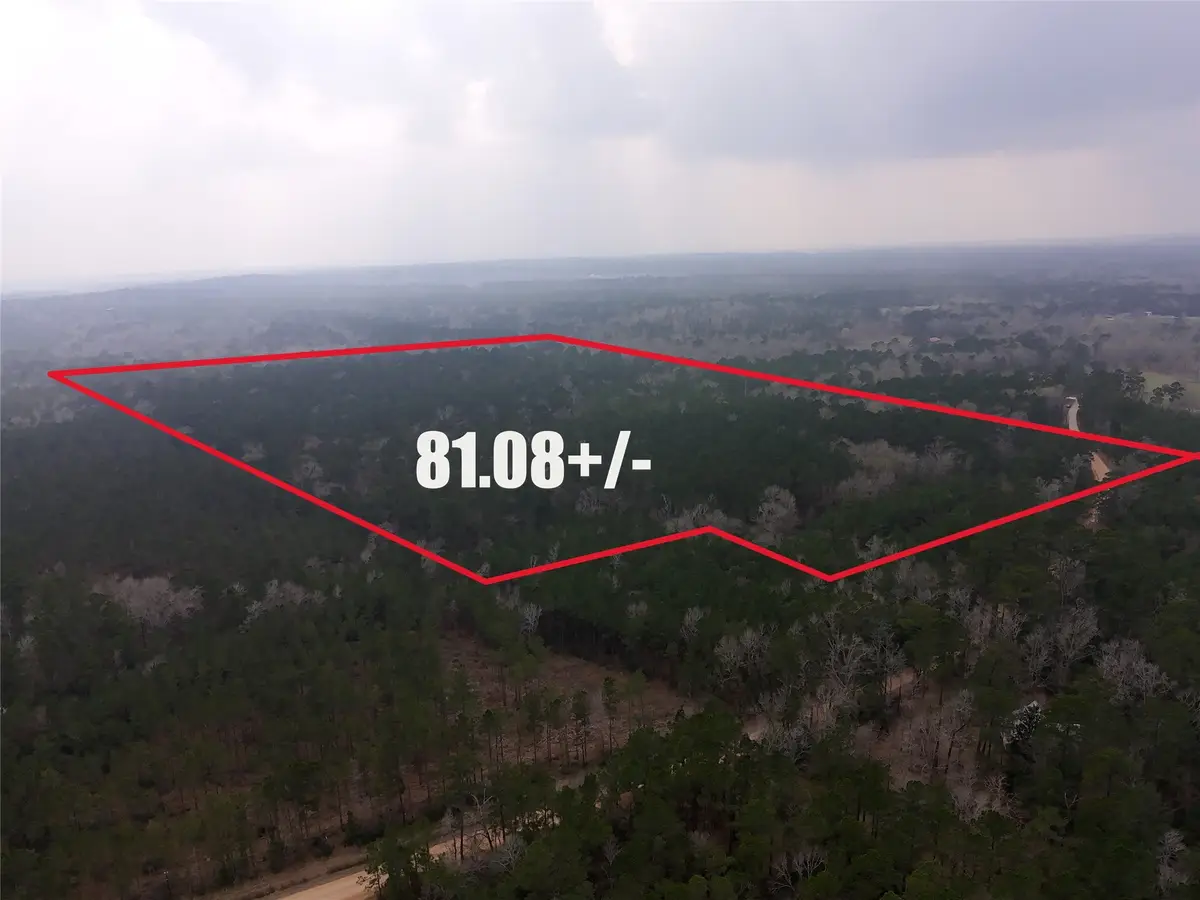 TBD Oakdale Loop, Livingston, TX 77351 - #1