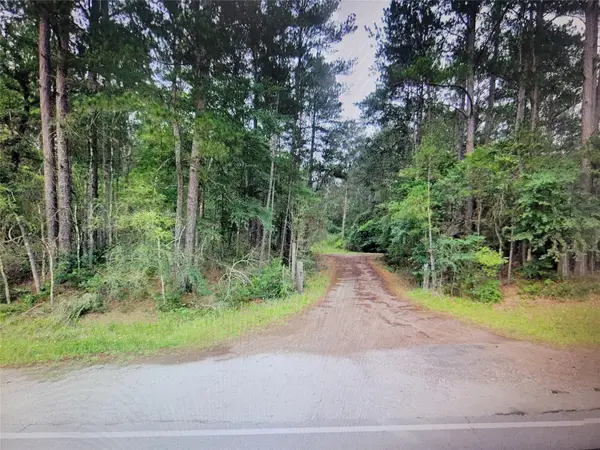 TBD Sioux Drive Drive, Hempstead, TX 77445