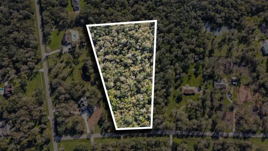 0 Squirrel Hollow Road, Damon, TX 77430 - #2