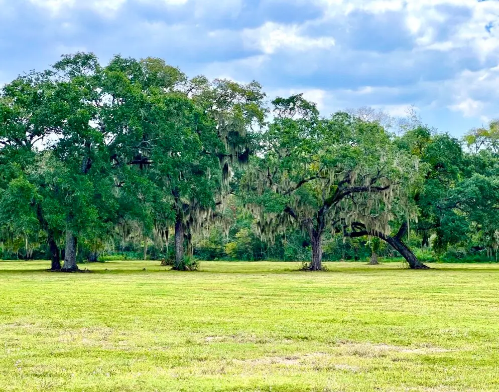 4239 Cr 348, Brazoria, TX 77422 - Image #1