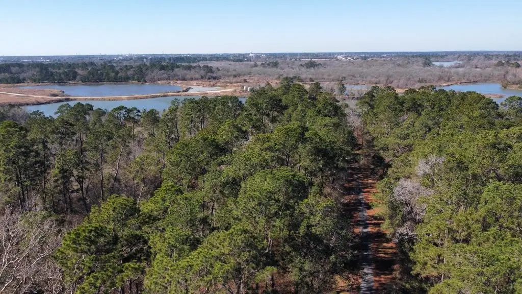 0 Silverline Lot 9 Drive, Houston, TX 77338 - Image #1