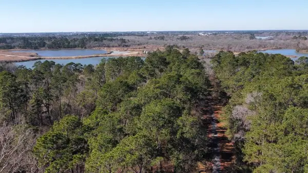 0 Silverline Lot 9 Drive, Houston, TX 77338