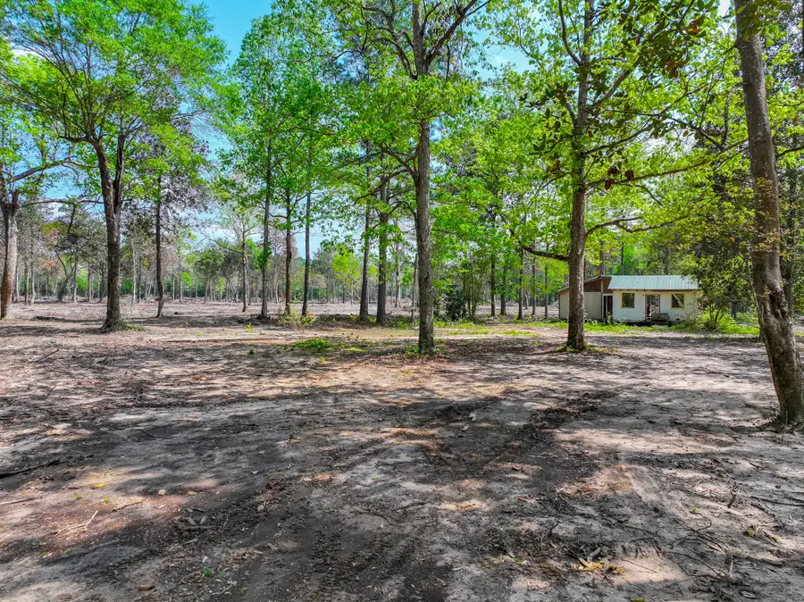 120 Royce Lane, Livingston, TX 77351 - #2