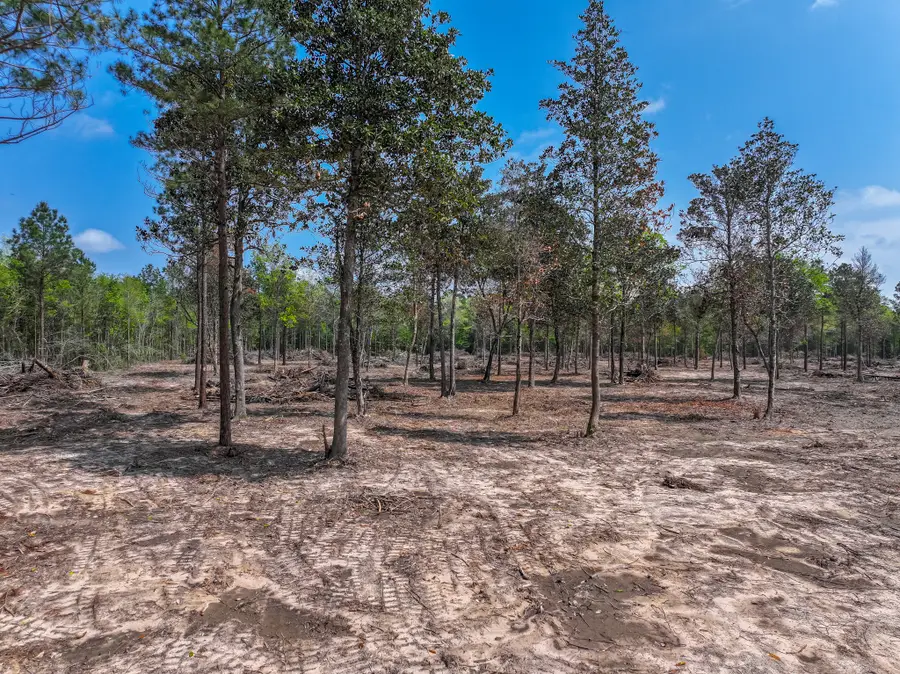 120 Royce Lane, Livingston, TX 77351 - #3