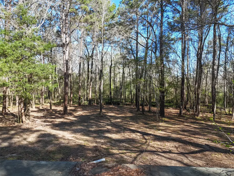 54 Ranch Acres Drive, Huntsville, TX 77340 - #3