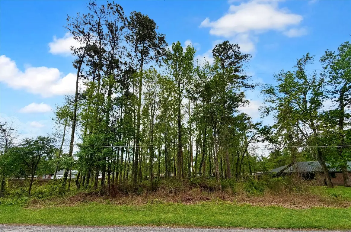 103 County Road 432, Dayton, TX 77535 - #1