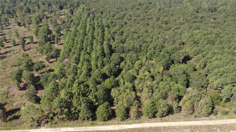 TBD Fm 2457, Livingston, TX 77351 - Image #2