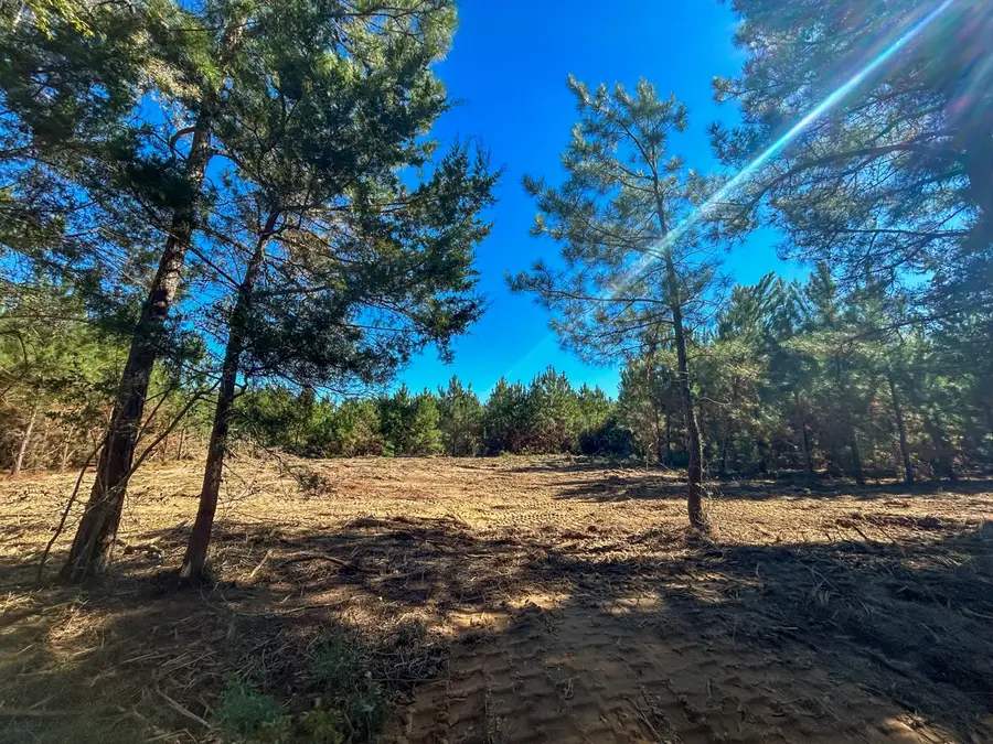 6 & 7 County Road 3121, Long Branch, TX 75669 - Image #3