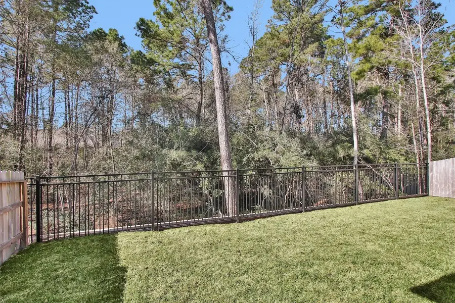 256 Sky Top Drive, Montgomery, TX 77316 - #2