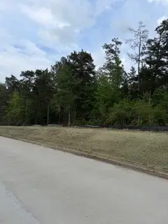 139785 Winters Vista Drive, Willis, TX 77378 - #2