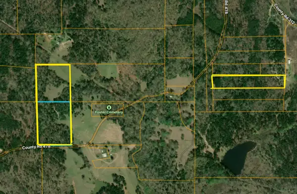 0 County Road 478, Larue, TX 75770