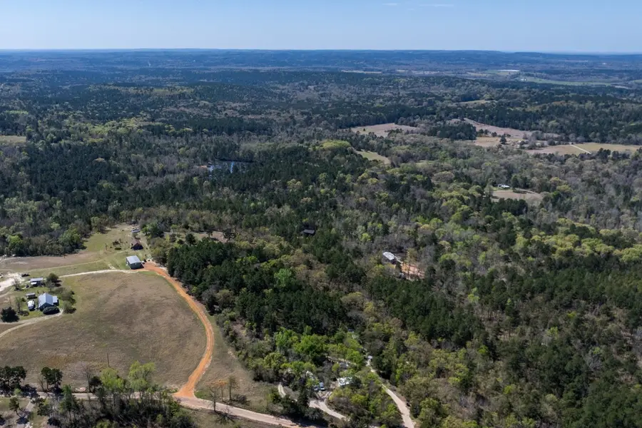0 County Road 478, Larue, TX 75770 - #2